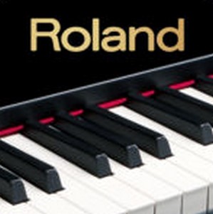 rolandٰ2 Piano Partner 2