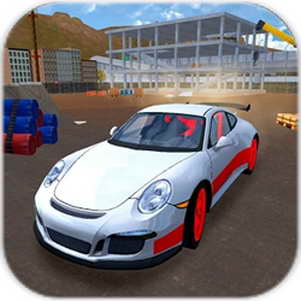 ʻ(Racing Car Driving Simulator)