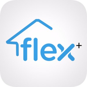 Flex+(ΰ鿼)