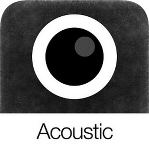 analog acoustic(Analog Venice)