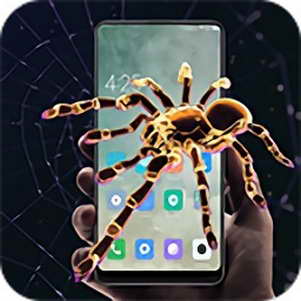 3d֩spider in phone prank