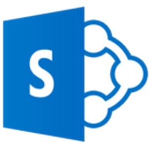 sharepoint 2013Ѱ