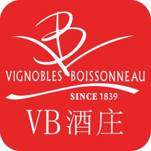 vBׯٷ