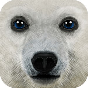 ArcticSim