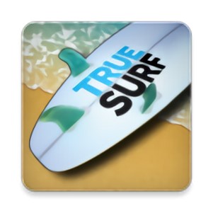 ʵڹ(true surf)