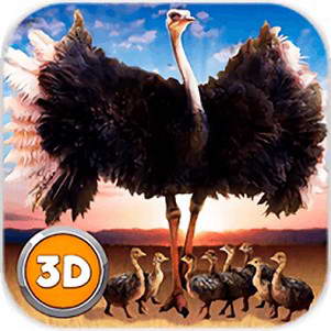 ռģڹ(Ostrich Bird Simulator 3D)