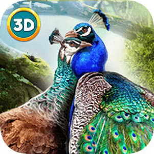 ȸģİ(Peacock Simulator 3D)