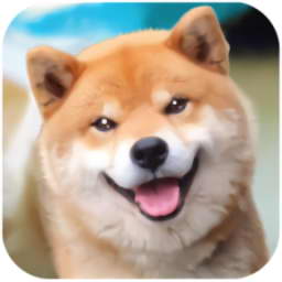 Ȯģ(Akita Dog Simulator)