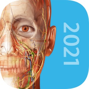 human anatomy atlas 2021