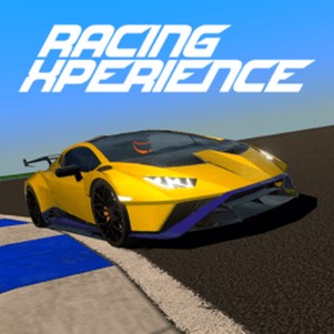 ʵ(racing xperience)