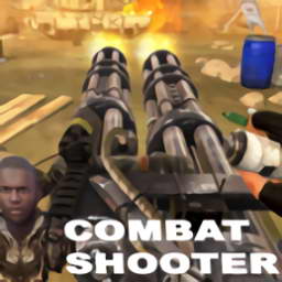 Ŷ(combat shooter)