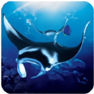 ģ°(The Manta rays)