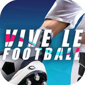 vive le football()