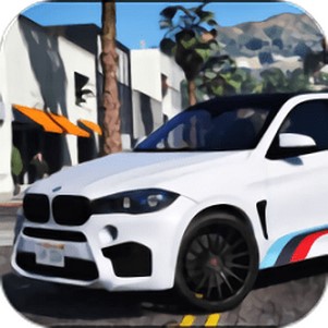 x6ʻģ(drive x6 bmw)