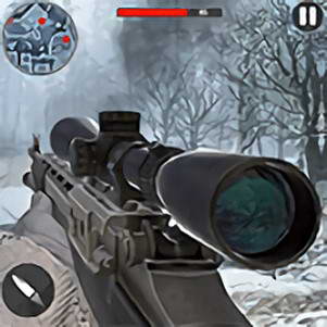 ѻֵĺϷ(CallOfSniper)