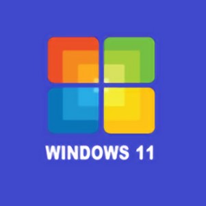 windows11ģİ