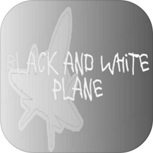 ڰֽɻ(BlackWhiteAirplane)