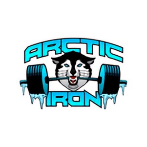 ˽app(Arctic Iron)