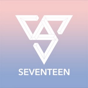 seventeenһseventeen light stick