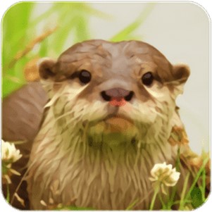 ˮ̡ģ⾭ӪϷ(the otter)