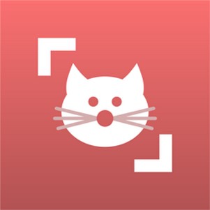 cat scannerè°
