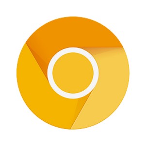 ȸ˿ȸapp(Chrome Canary)