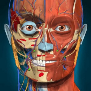 anatomy learning(3dѧ)