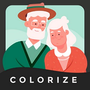 colorizerƬ޸